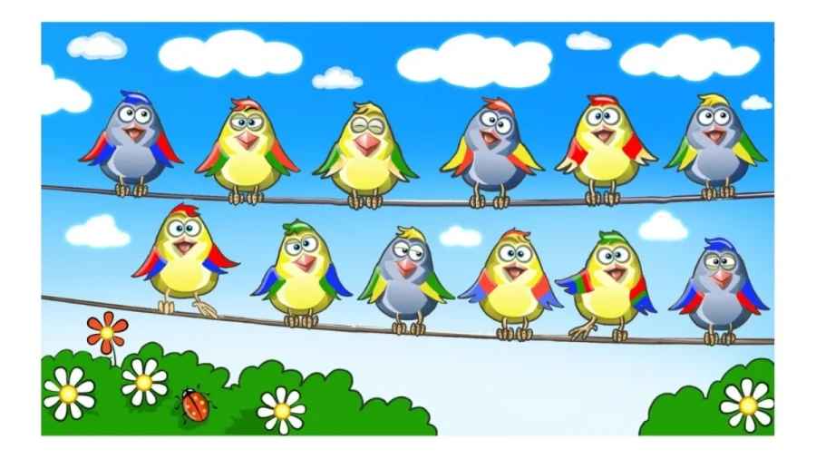 Проверьте свою зоркость: найдите двух птиц-близнецов в обилии пестрого оперения — у вас всего 18 секунд