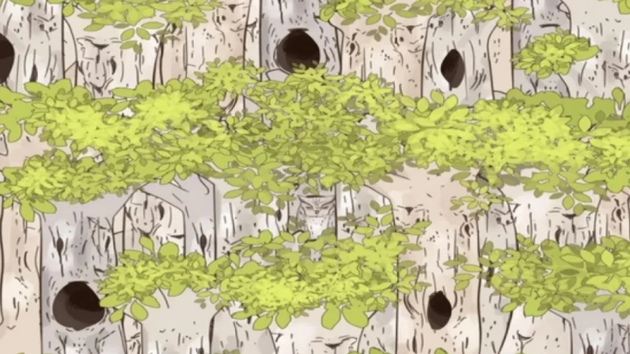 Топографический кретинизм излечим: головоломки тренируют мозг получше навигатора — проверьте это на себе