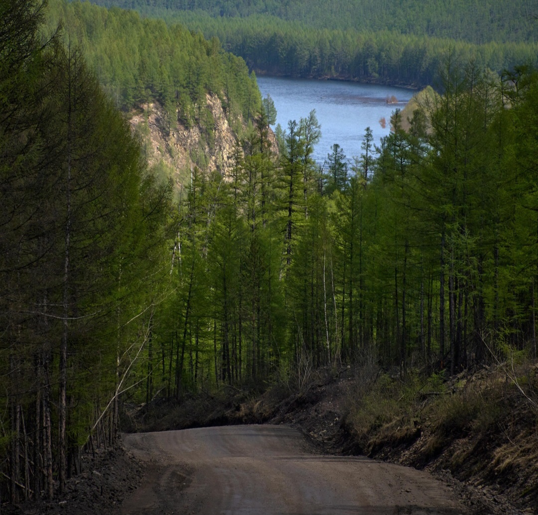 "Прождали 40 минут и развернулись!": Супруги шли пешком из Нерюнгри