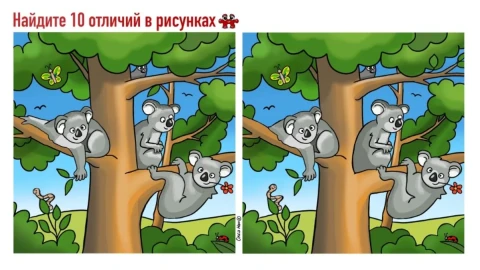 Ах, как охота полениться: расслабьте тело и дух, но напрягите извилины — эффект поразит вас