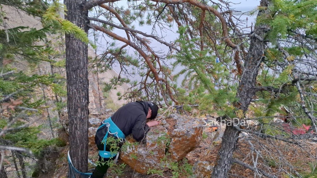 Видеофакт: на Еланке альпинист поднялся на скалу, держась за волосы Ларисы Троевой