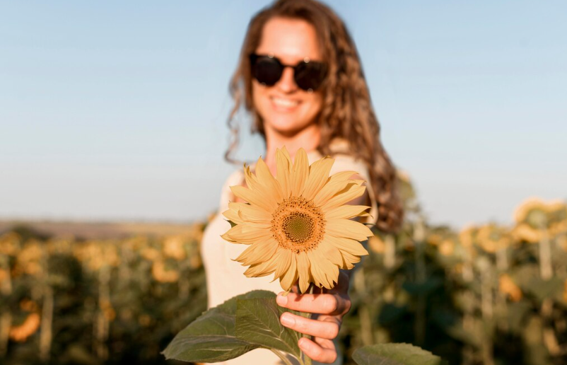 Подсолнечник — главный помощник для красоты и молодости: рецепты, которые превратят даже лягушку в принцессу
