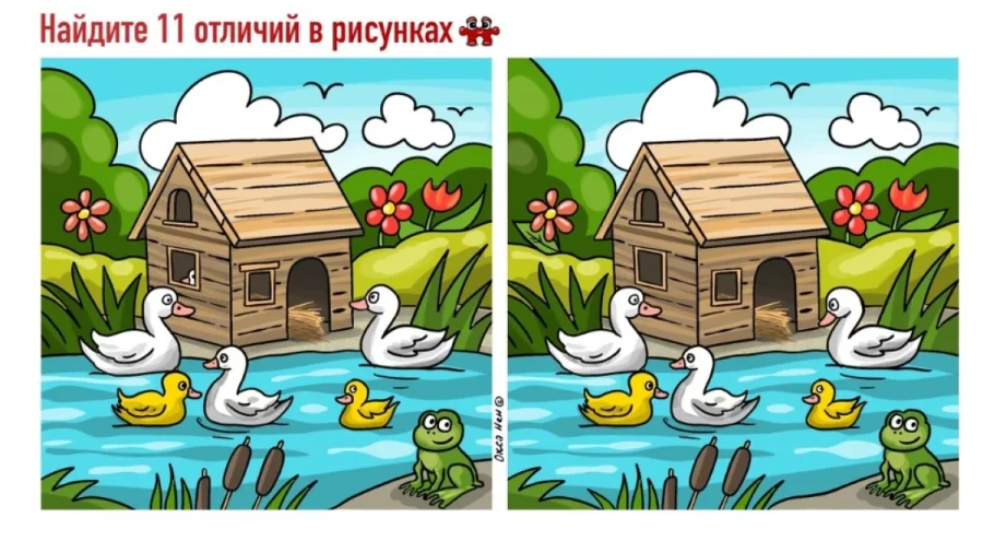 Задачка с секретом: тест на внимательность с образовательным бонусом — домик для лебедей жизненно важен для их популяции
