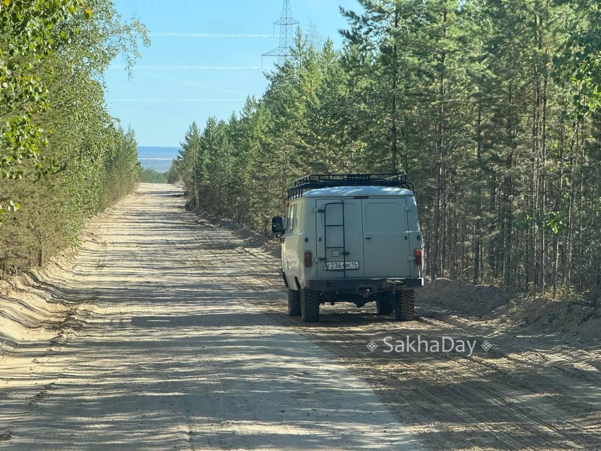 Близ Владимировки заметили медведя, Минэкологии проводит проверку