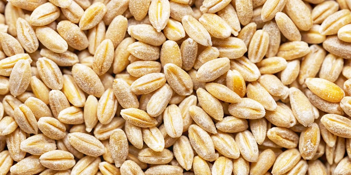 Маленький секрет большого вкуса: перловка «как у бабушки» — нежнее масла, гости просят добавки и благодарят стоя!