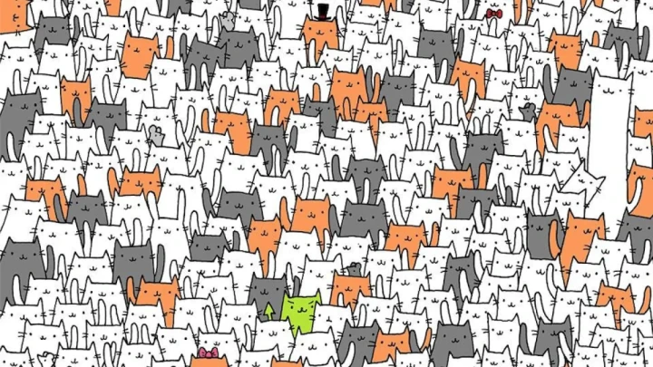 Чужой среди своих: найдите кролика среди котов — проверьте свою внимательность с помощью милой головоломки