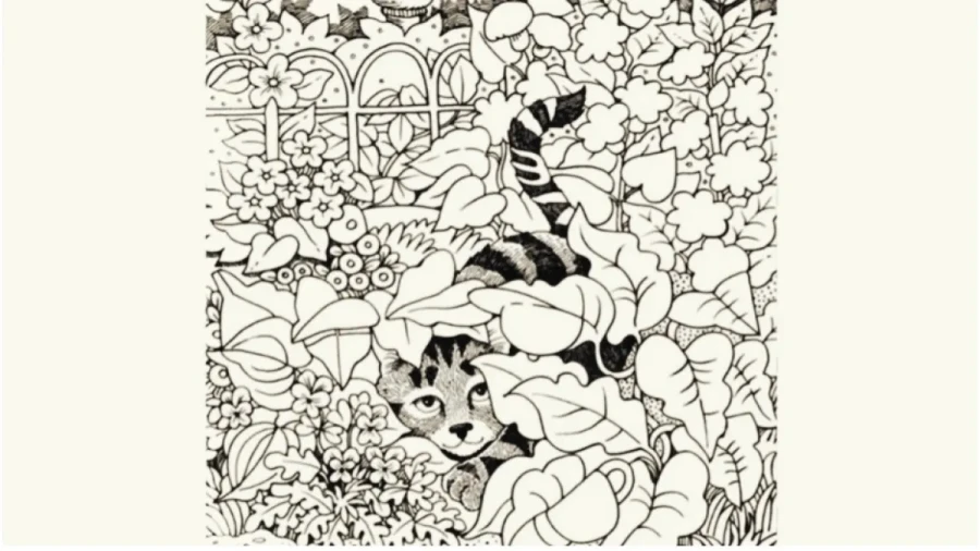 Тест на IQ: найдите 10 скрытых предметов за 28 секунд — вы гений или обычный наблюдатель?