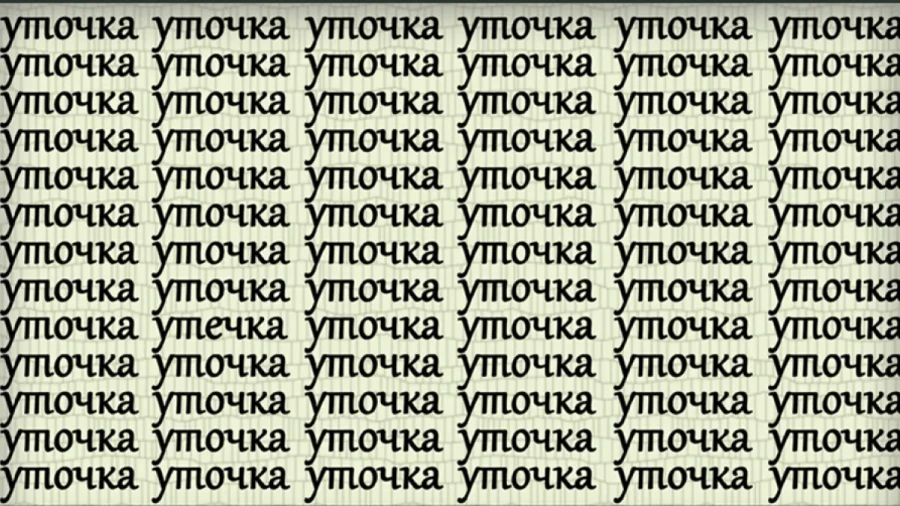 Одна буква изменила все: найдите уникальное слово в массе одинаковых — эффект от решения круто скажется на вашем мозге