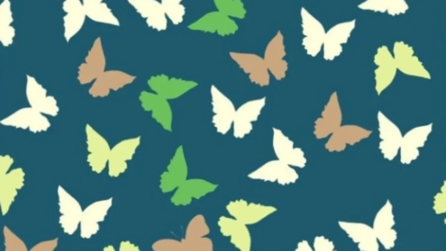 Найти за 7 секунд: проверьте свою зрительную память — справитесь ли вы с этой головоломкой?