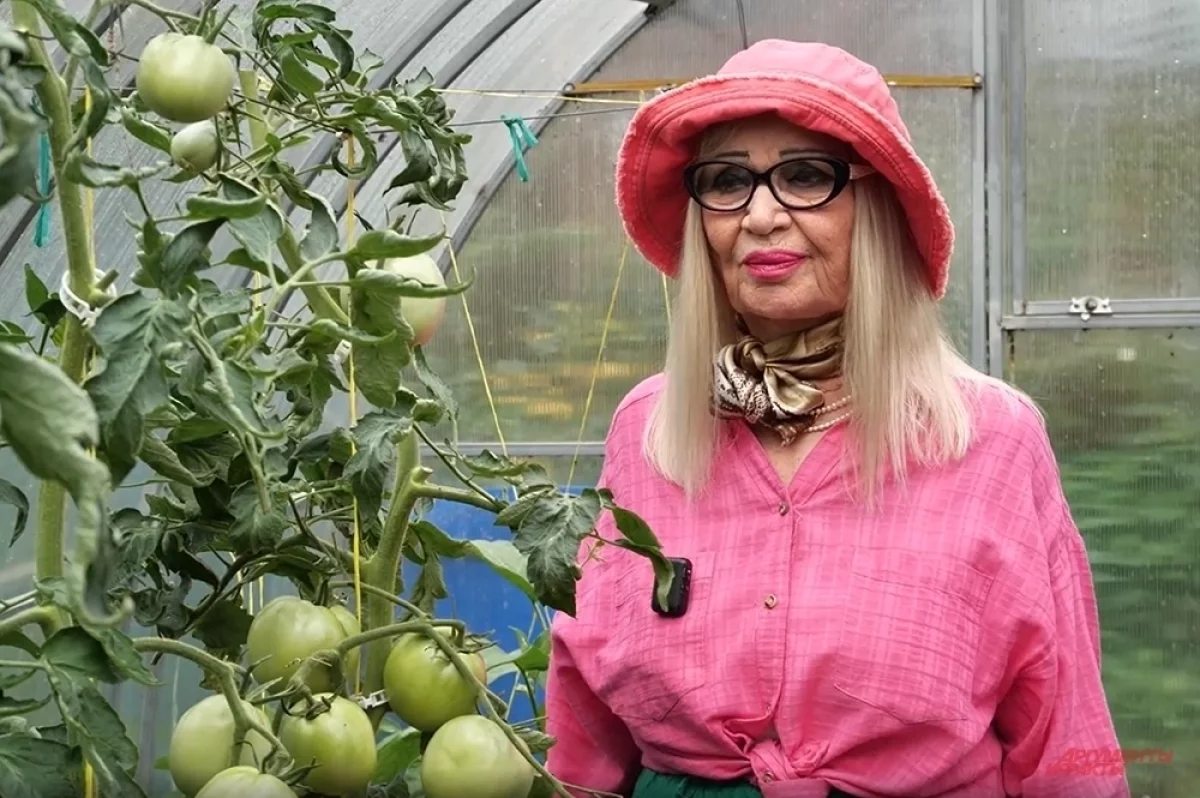 Увидела, похвалила, уехала: Октябрина Ганичкина раскрыла секреты своего райского сада под Москвой — оказывается, она выращивает не так уж и много