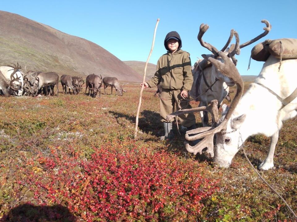 Перевозка детей оленеводов из оленеводческих стад в село Кюсюр прошла на вертолёте
