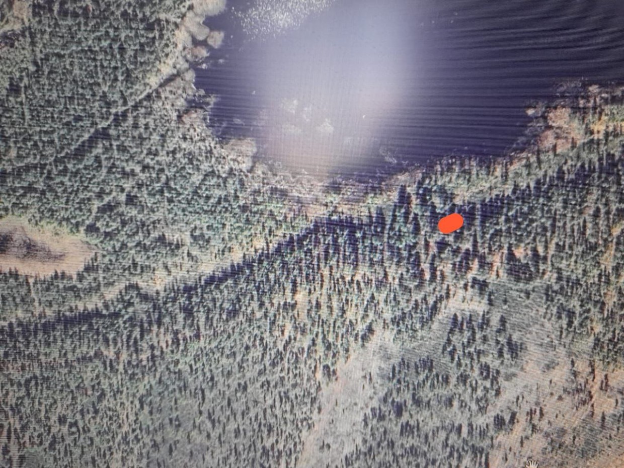 Верхоянские бульдозеристы нашли древнее захоронение с конем