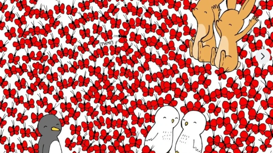 Сердечный поиск: проверьте свою внимательность — найдите все спрятанные сердечки за 34 секунды!