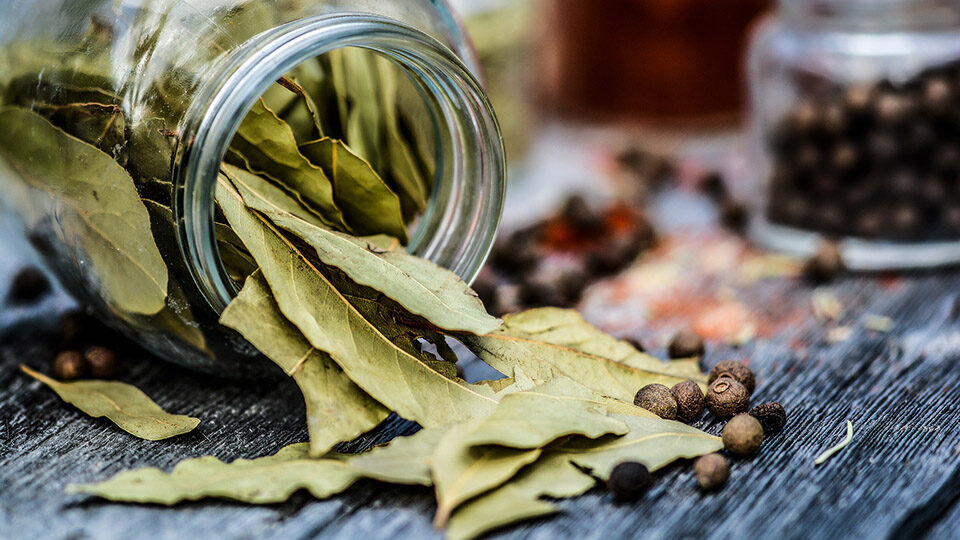 Гори-гори ясно: зачем лаврушка в борще, если ее можно использовать вместо аромадиффузора — это еще и полезно