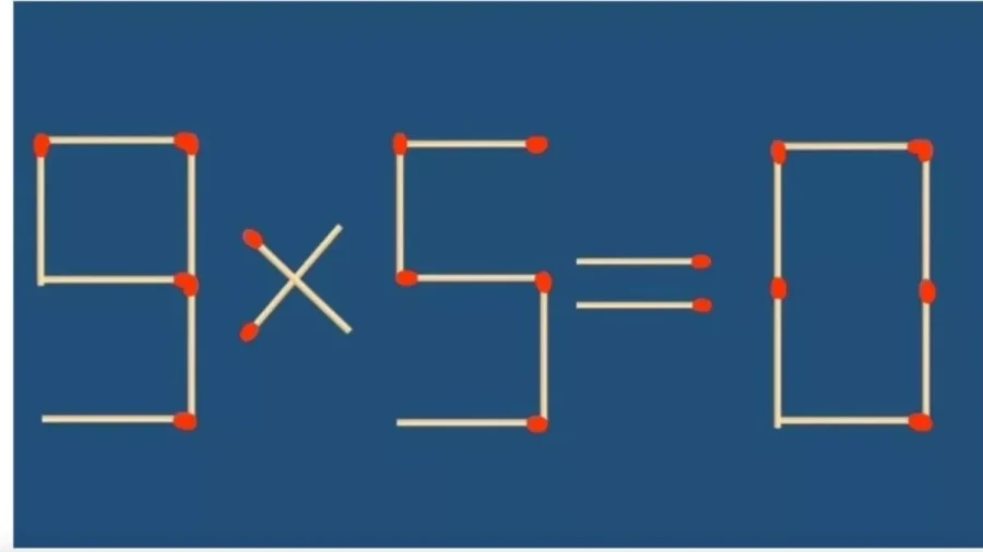 Физкультура для серого вещества: с этой задачкой справляются единицы, но главное — не сдаваться и верить в свои силы