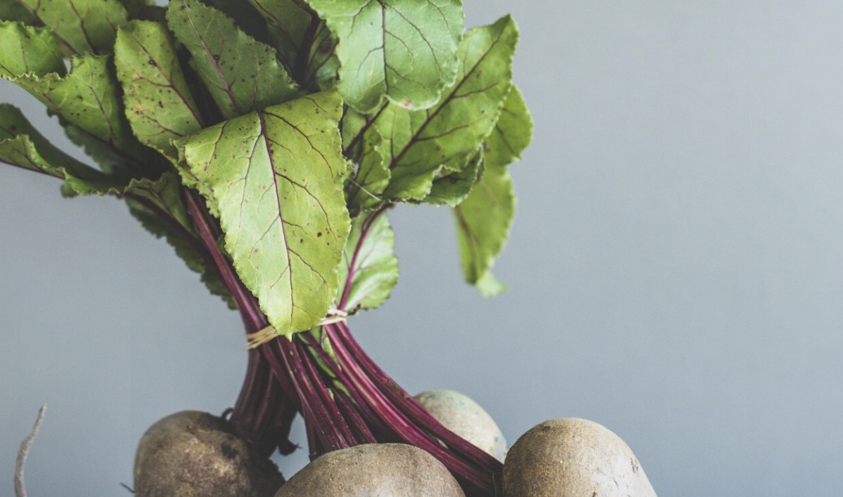 Подзимний посев свёклы: рассказываем про сроки и правила посадки — советы садоводов