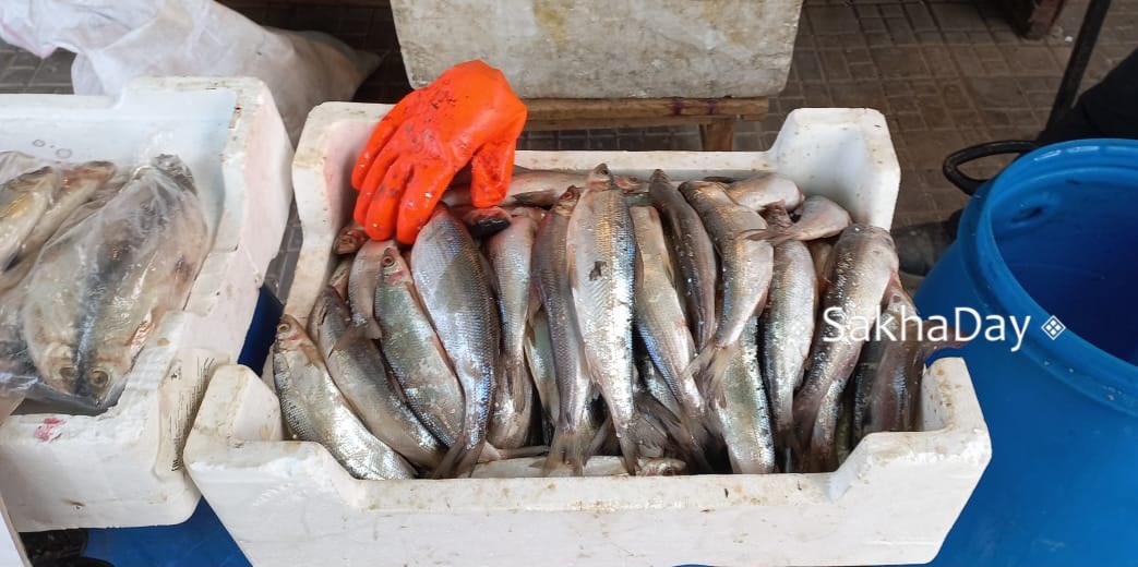 В Якутске подорожала ряпушка. Почему?