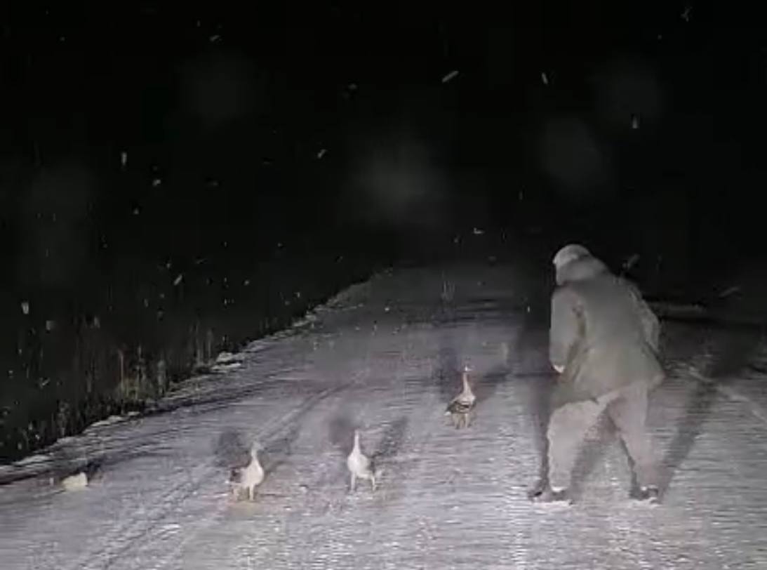 В Якутии проверяют факт браконьерства после публикации видео в соцсетях