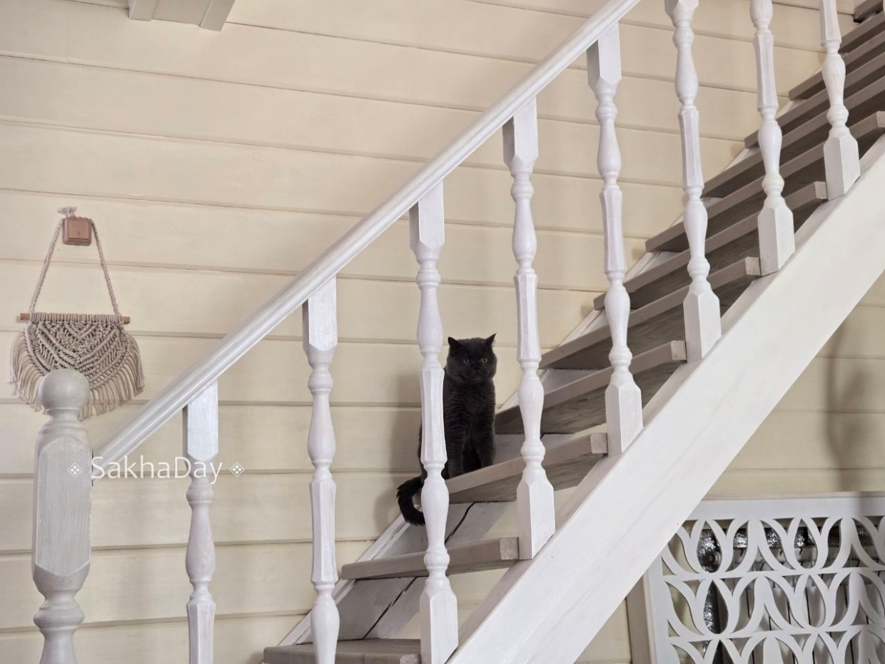 Сколько денег уходит на коммунальные платежи и интернет в Якутске?