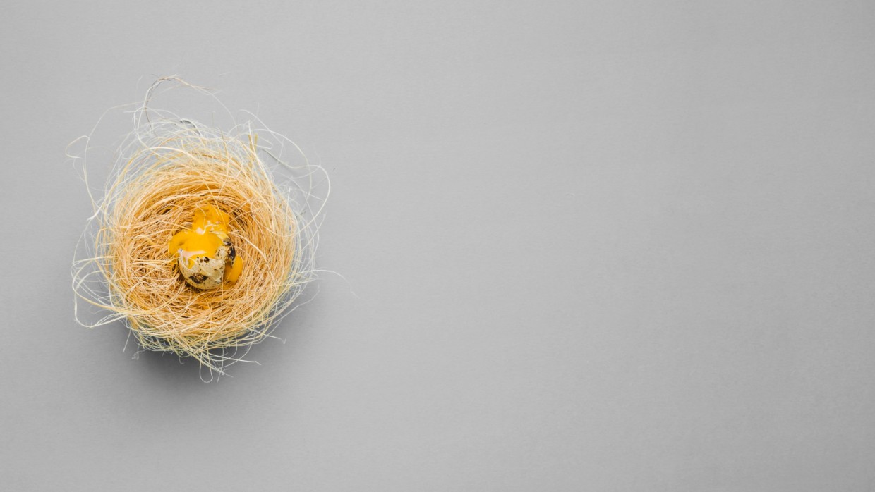 Шедевры зодчества в дикой природе: самые удивительные жилища, созданные животными — архитекторы от Бога, вдохновляющие своей изобретательностью