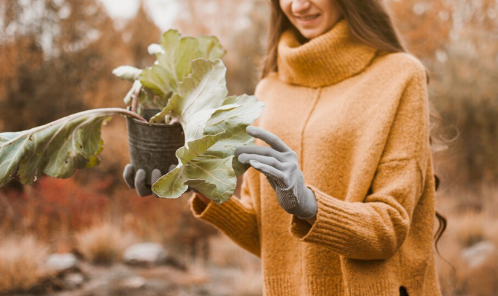Утепление растений на зиму: кустики скажут спасибо — идеальное решение для цветов и ягод