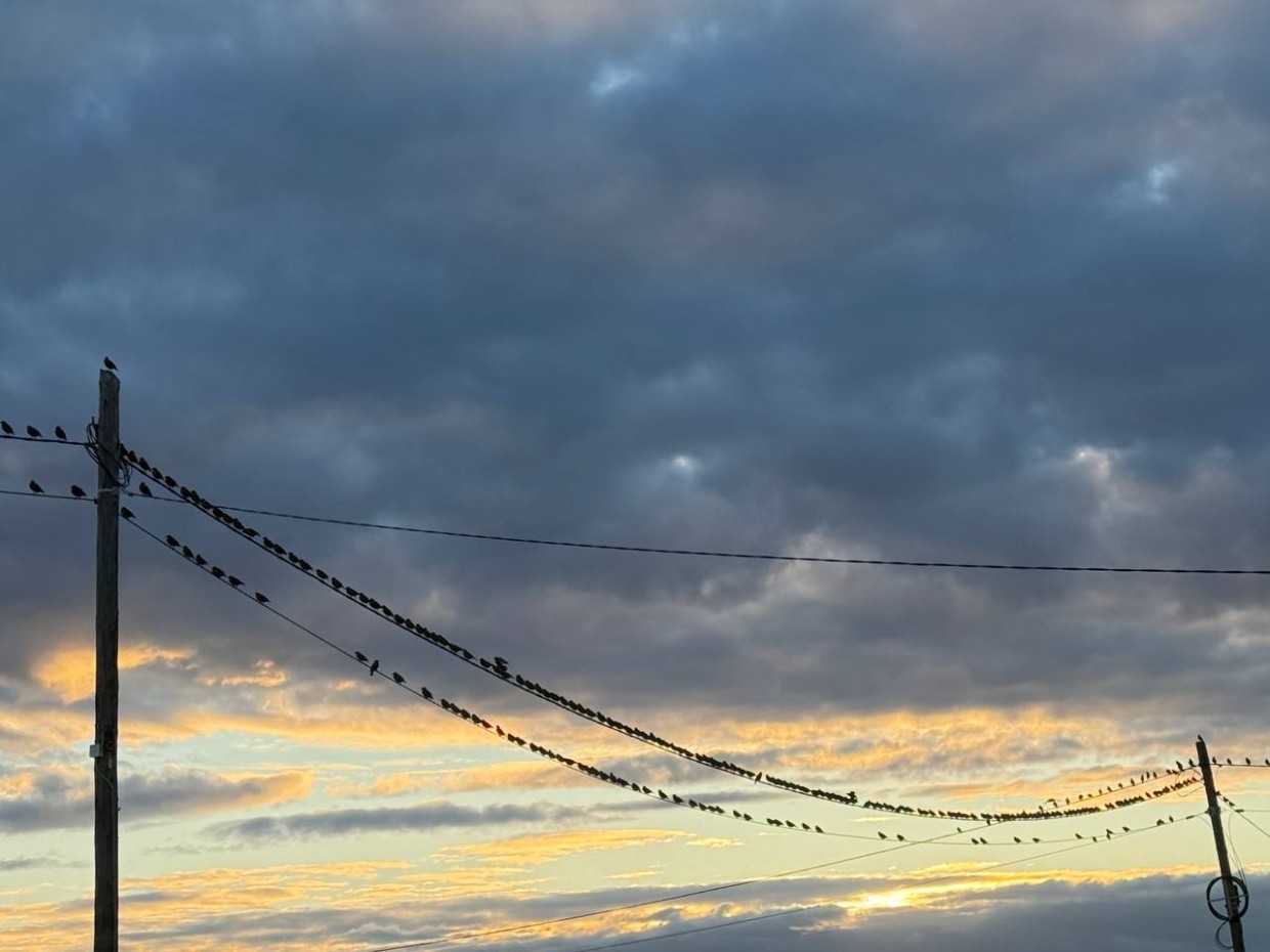 Прогноз погоды на октябрь от народного синоптика Тараса Тарасова –Тускула