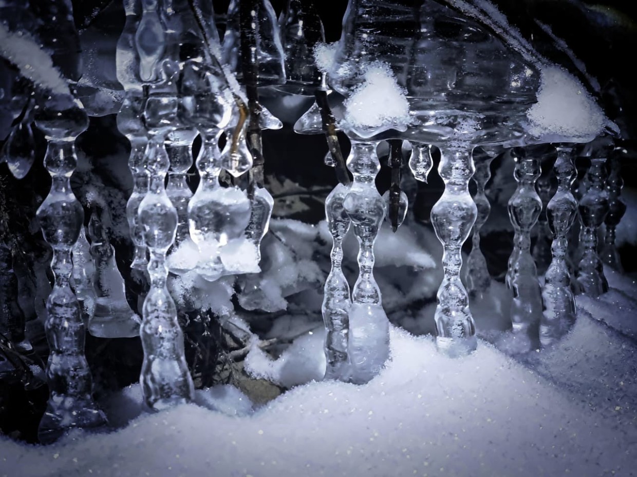 Причудливые "сережки" на дереве в Оймяконе