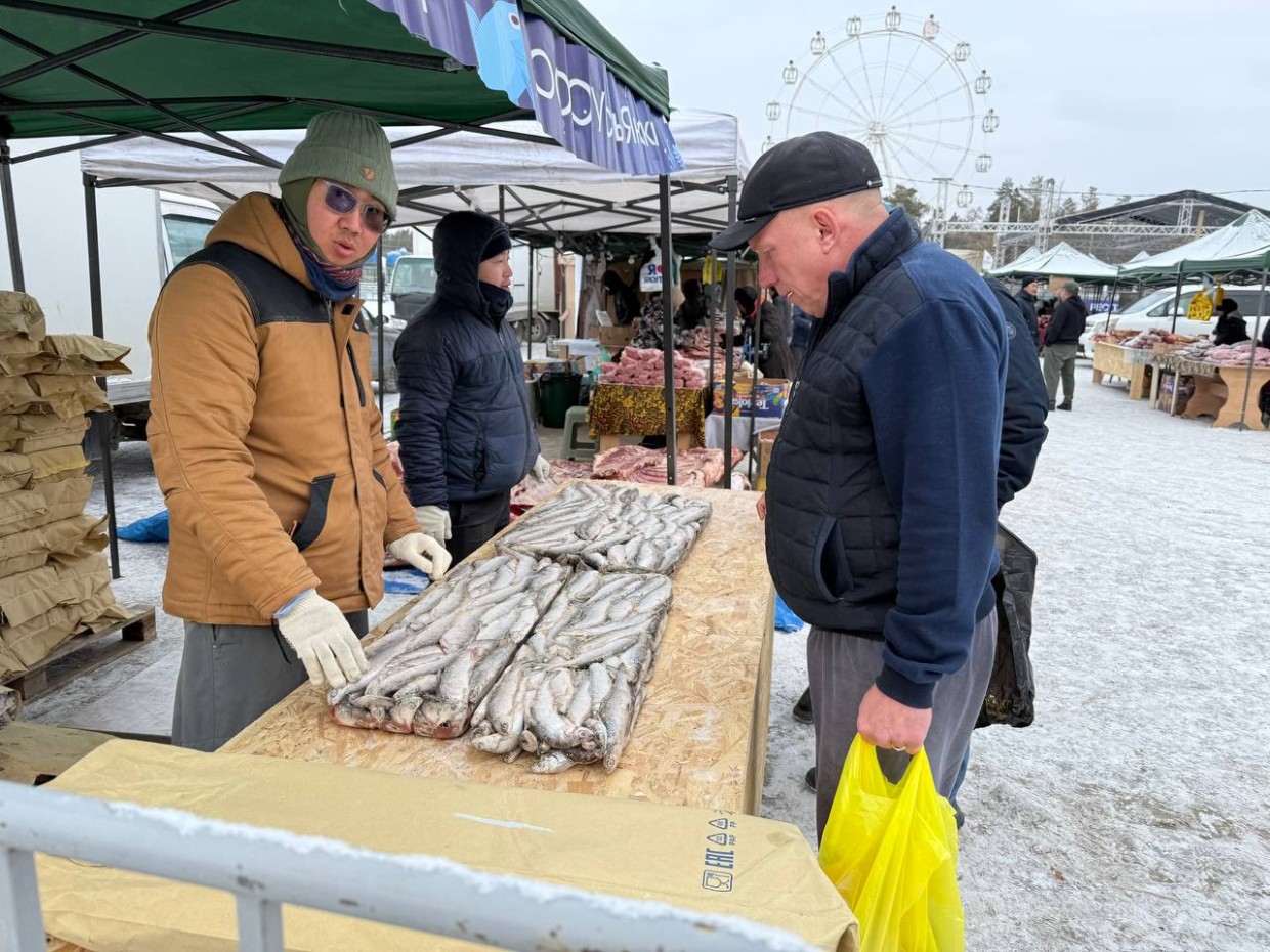 Цены на ярмарке «Рыба Якутии»: от 250 рублей за щуку до 4900 за юколу