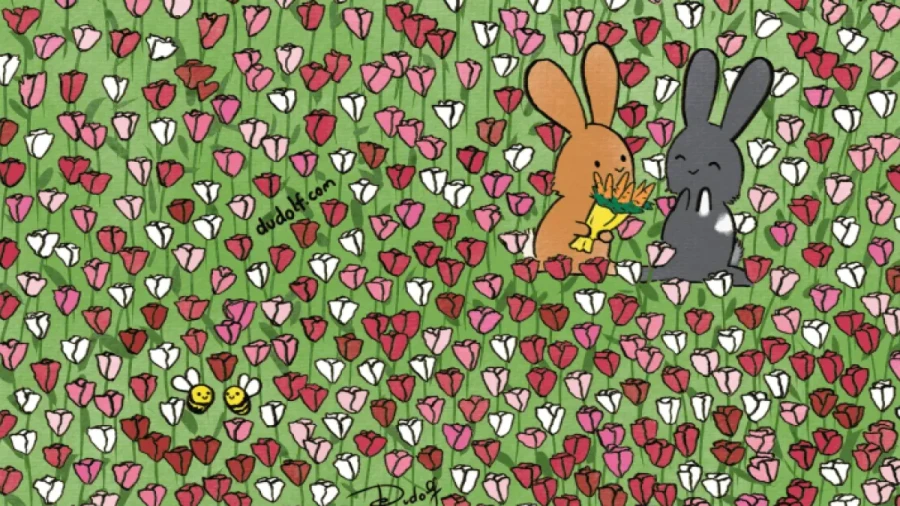 Две половинки: самая романтичная головоломка — скрепите любящие сердца, понадобится лишь внимательность