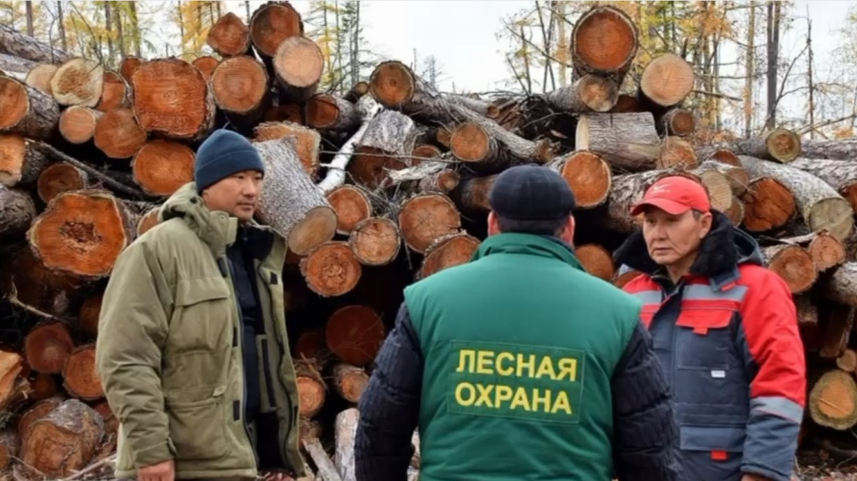 Минэкологии прокомментировало нарушения ООО «Восточное» в Алданском районе