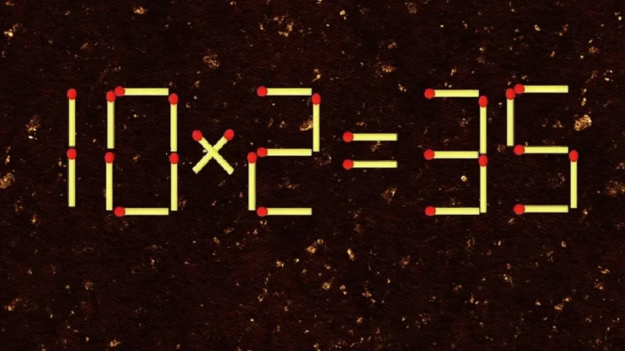 Ребусы вместо казино: чудесное средство от зависимости для лудоманов — не кодинг, не таблетки, а головоломки