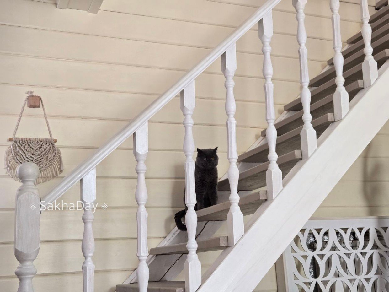 Сколько денег уходит на коммунальные платежи и интернет в Якутске?