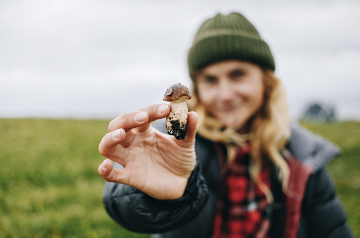 Грибной стандарт: как пожарить грибы до аппетитной корочки и какие вообще подходят для жарки — секреты профессионалов у вас на кухне