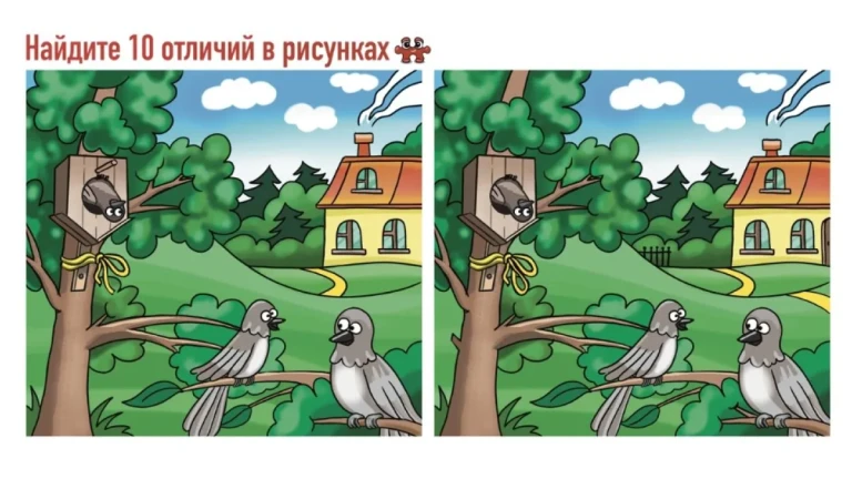 Головоломка, заряженная на отдых на природе: найдите 10 отличий — проведите время за городом, утопая в золотой осени