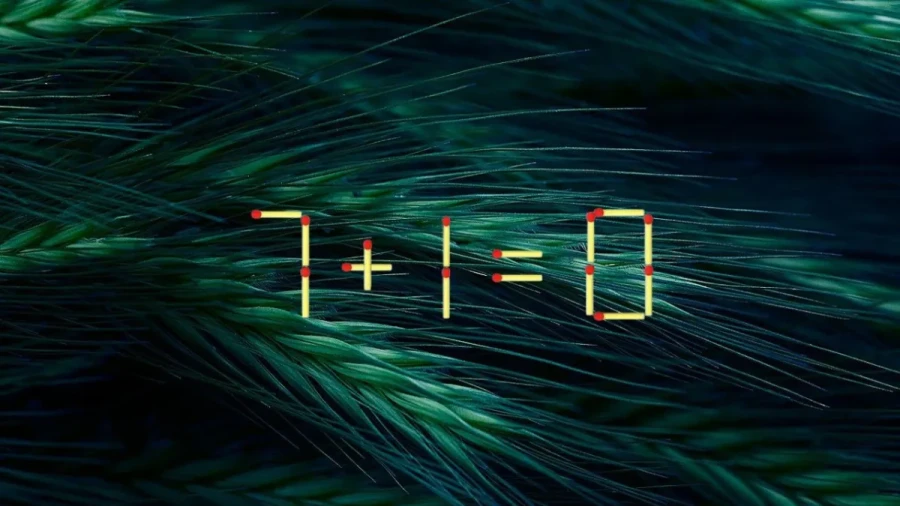 Поработали, отдохнули, и так по кругу: настоящий отдых для мозга — смена деятельности, дайте извилинам перегрузку