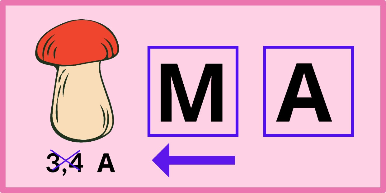 Ребус для грибников: найдите зашифрованный в грибочке документ — эта задачка не из легких