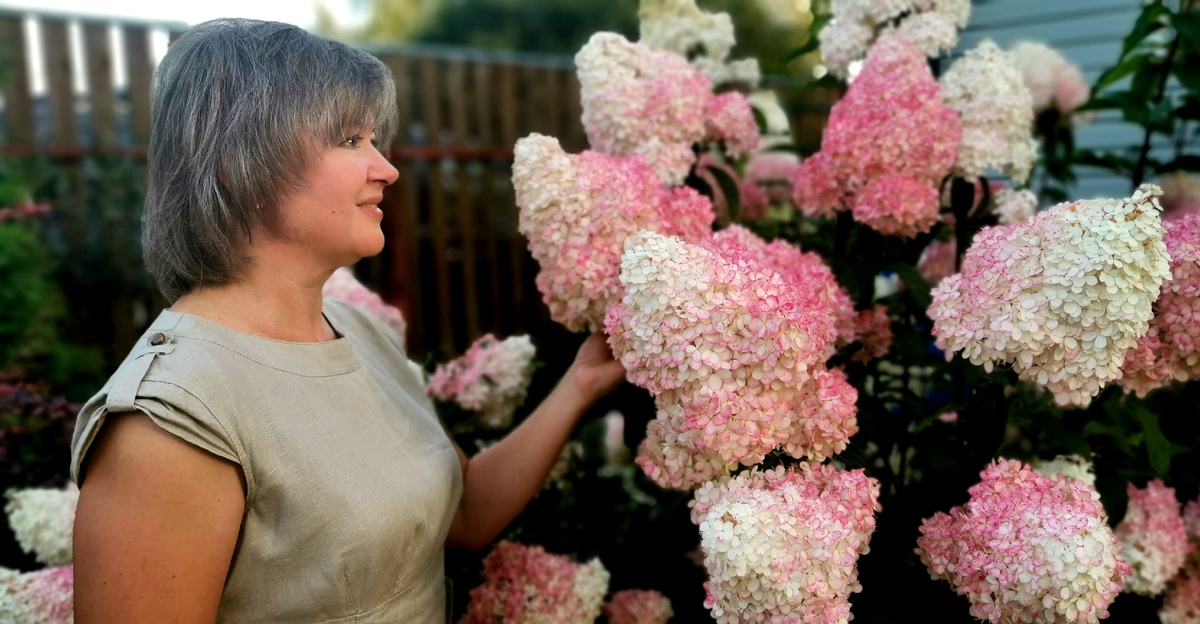5 советов по посадке гортензии: цветёт так, что аж дух захватывает — проверенные рекомендации садовода с 30-летним стажем