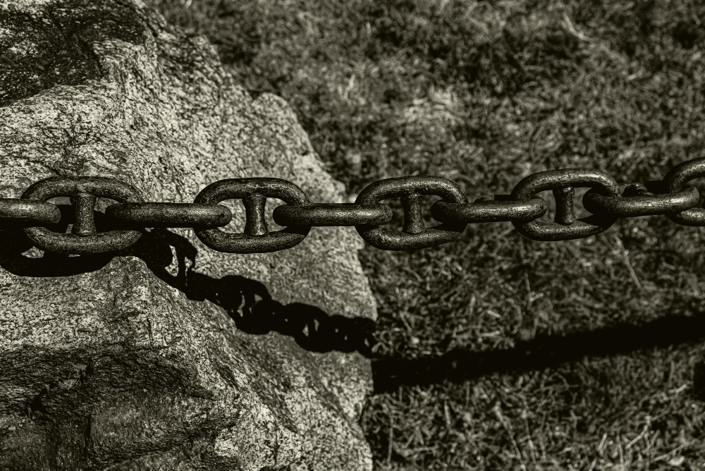 Напильники и болгарку можно выбросить: рассказываем, как наточить цепь — эффективно и просто