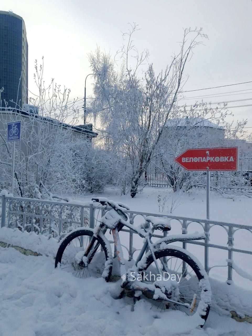 Тускул: Зима в этом году будет теплой