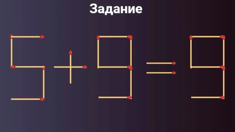 Легкая встряска: всего 1 упражнение подарит заряд продуктивности на день вперед — попробуйте сами