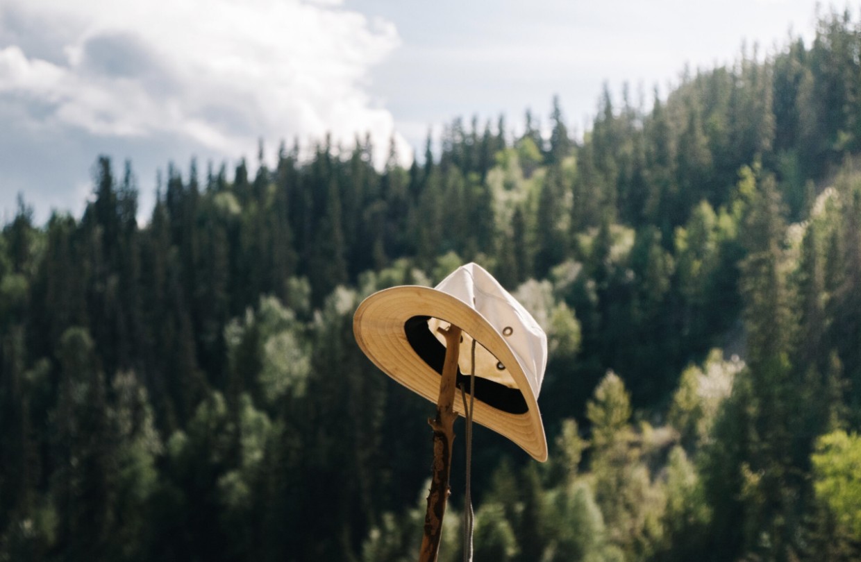 Когда выгоднее всего уходить в отпуск?