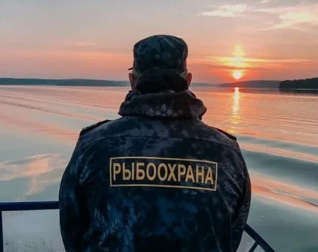 Житель Черского просит помощи у Тумусова: «Без рыбы у нас не выжить»