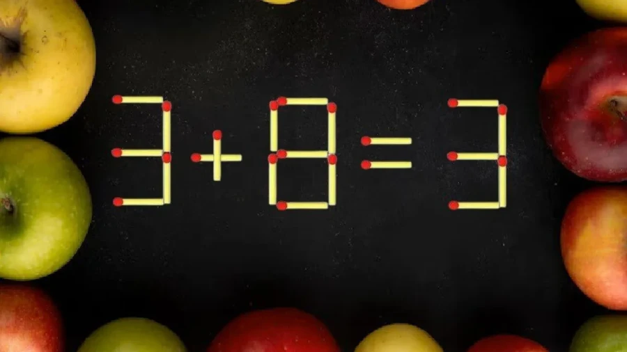 Витамины для мозга: их можно принимать внутрь, а можно и прямо в мозг — но без уколов, не волнуйтесь