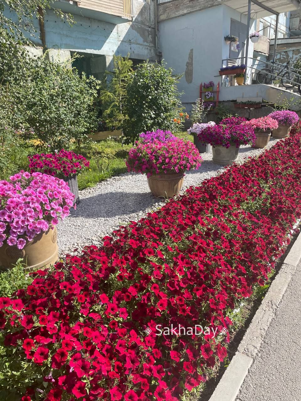 Почвы Якутска начнут удобрять хатасским компостом