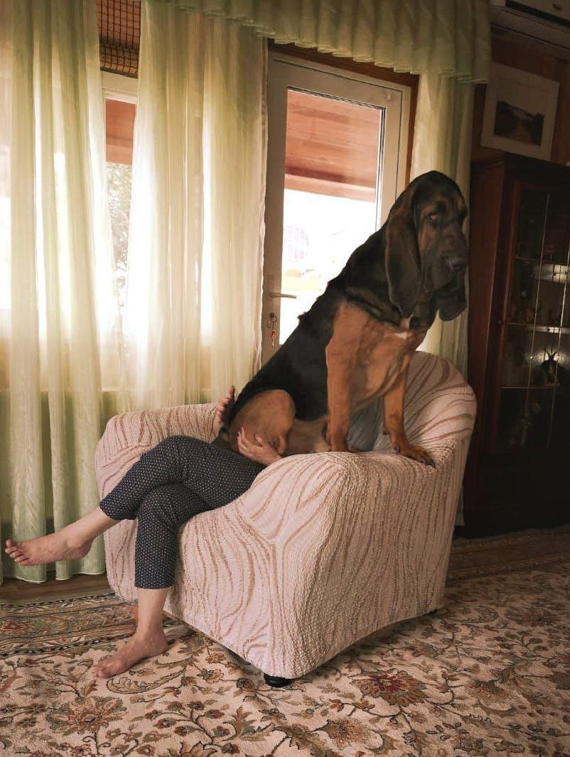 Фотофакт: Сардана Авксентьева показала свою собачку