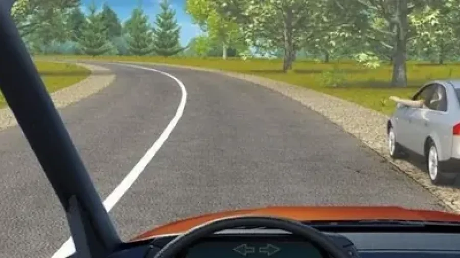 Лучше прямо скажи, чо те надо, чо надо: знак или зов о помощи — вопрос ПДД, который путает 94% водителей