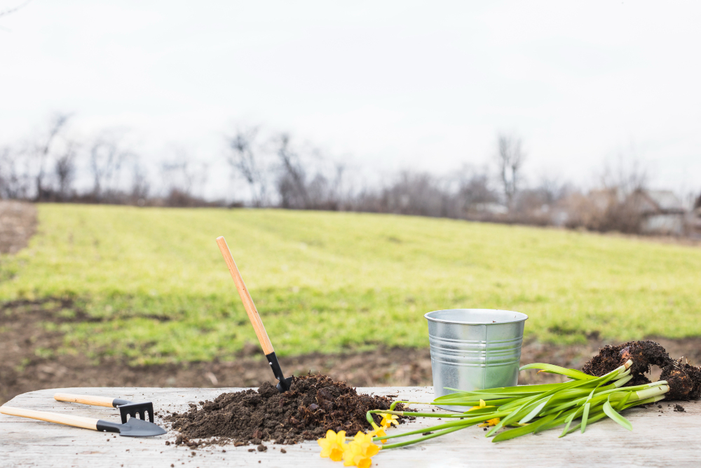 Что делать со старой землёй в горшках: точно не выбрасывать — 3 хитрых способа, чтобы не тратить ни копейки