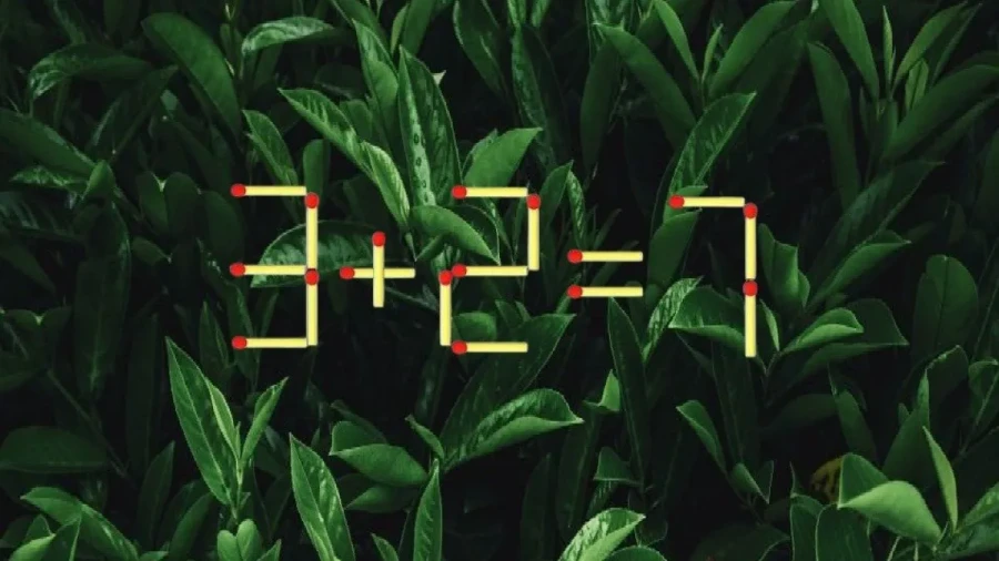 Розы любят воду, пацаны — головоломки: вашему мозгу нужна подпитка ничуть не меньше, чем удобрение растению — начните уже сегодня