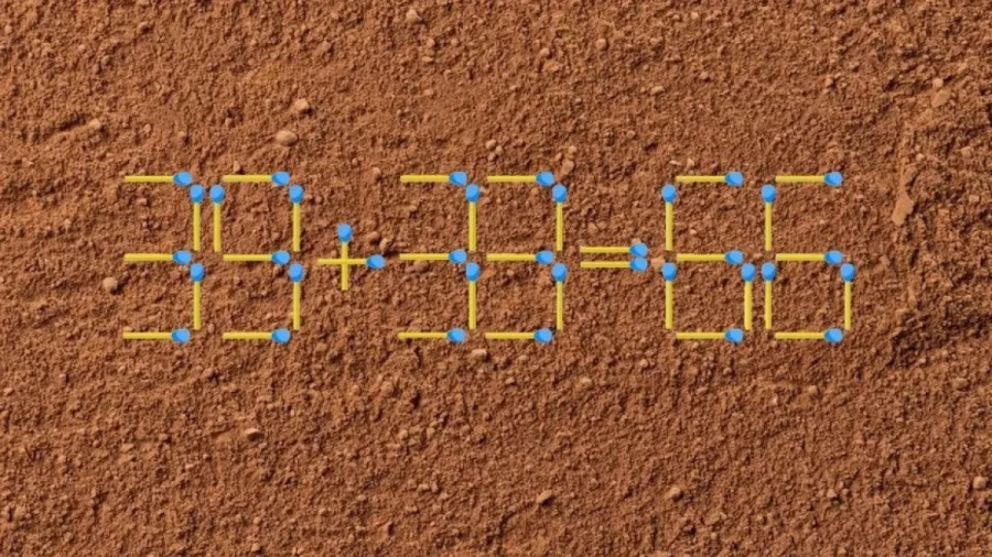 Не прячьте голову в песок: умными не рождаются, а становятся — мы нашли чудо-средство, которое быстро сделает из вас сверхразум