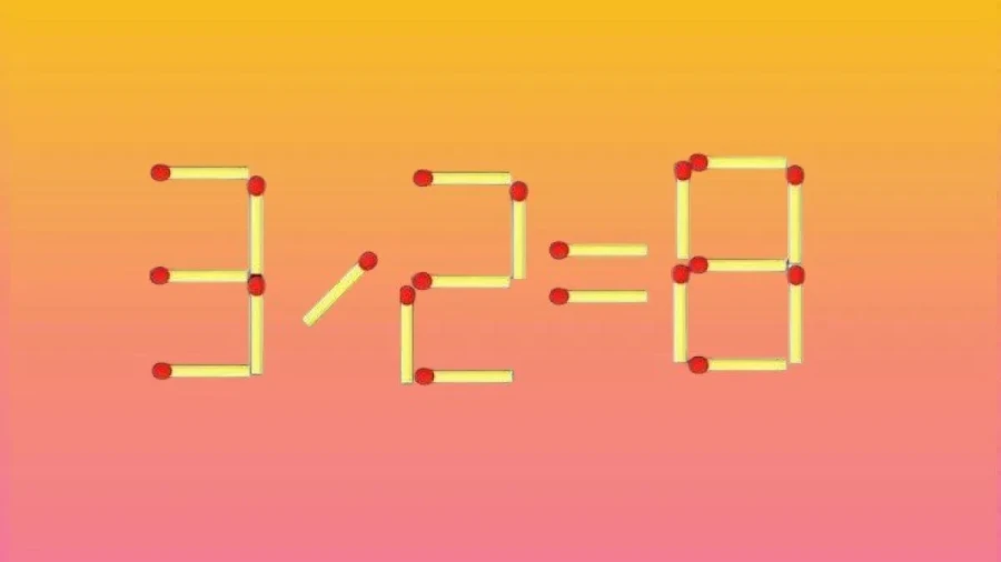 Счастье от ума: как приятно чувствовать себя сознательным и грамотным — и для этого, вопреки расхожему мнению, не нужно иметь дома библиотеку